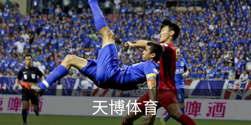企业简介